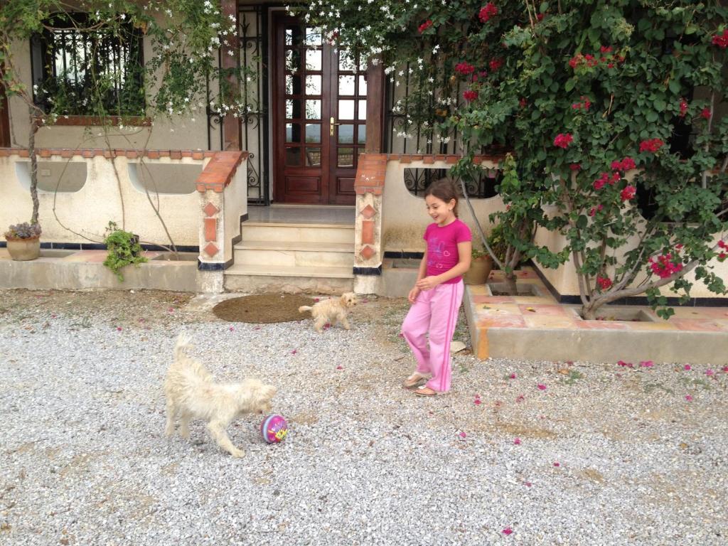 Dar Salima Bed & Breakfast Mornag ภายนอก รูปภาพ